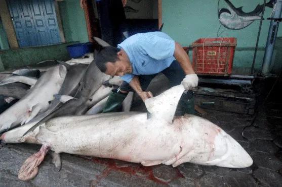 只为一串佛珠，他活剥了我妈的皮：人心有多可怕，你根本想象不到