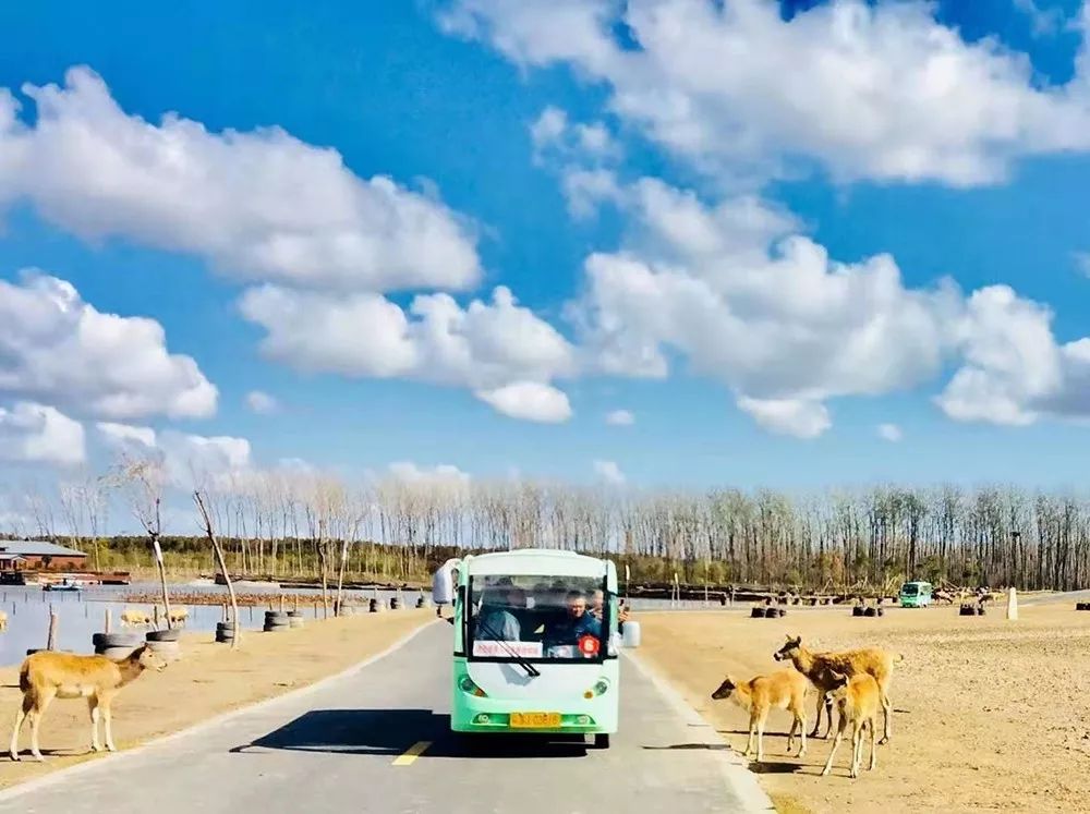 天蓝水清，云淡风轻，悠游盐城——绿地康养乐养通会员旅居盐城