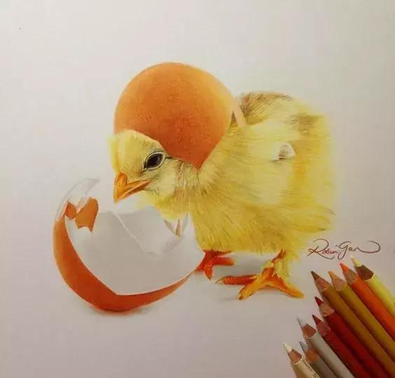 彩铅如何画得非常细腻,彩铅画的很好看零基础