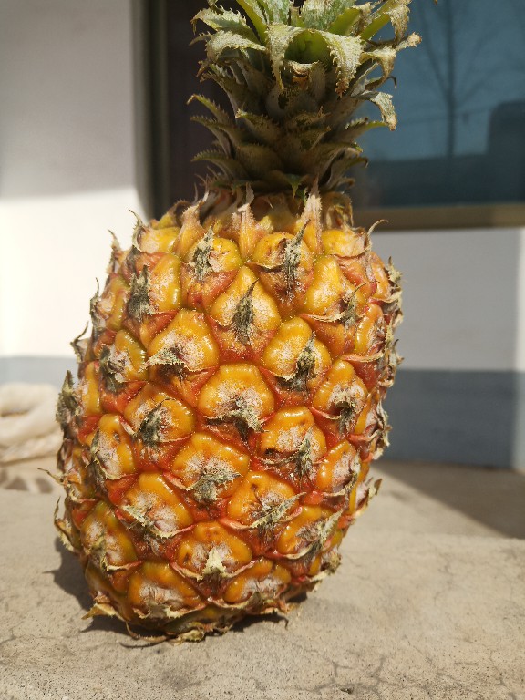 怎么去除菠萝的涩味,菠萝的正确吃法要用盐水泡吗