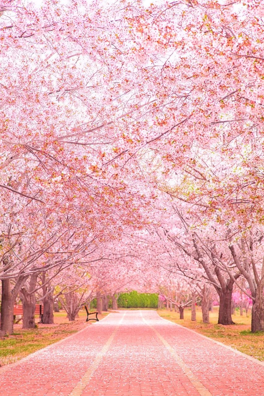 想去大连了,还有人想去大连吗