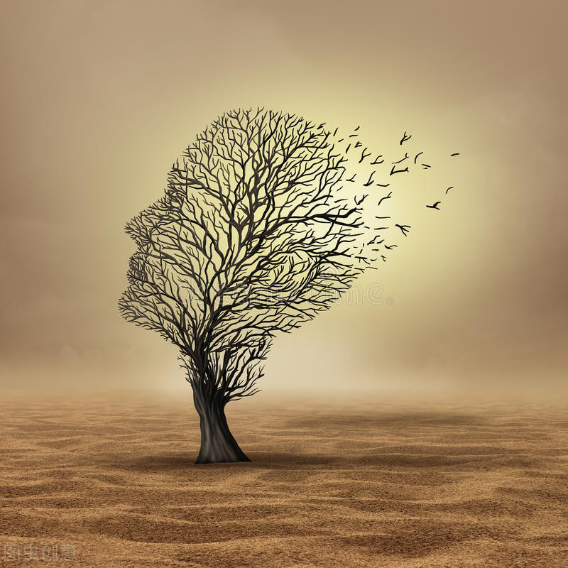 那一年夏天，我们一家整整两个月没有洗澡