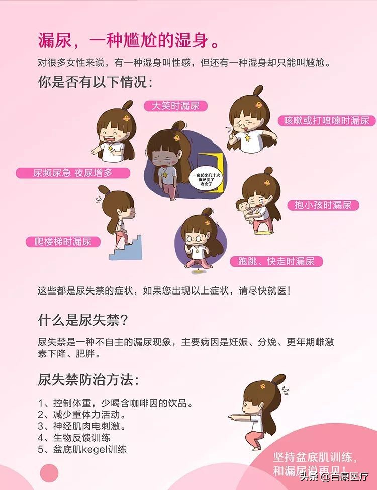 科普视频盆底肌康复训练,盆底肌医学讲解