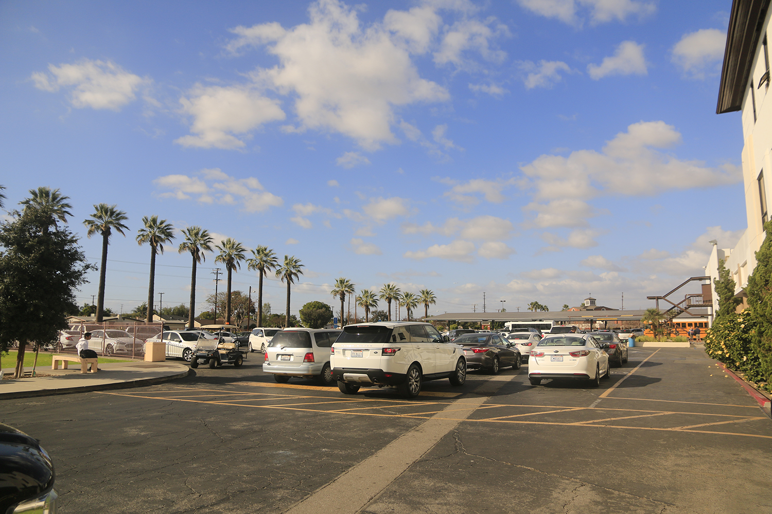 凯斯西储大学相当于中国什么档次,凯斯西储大学2024世界排名