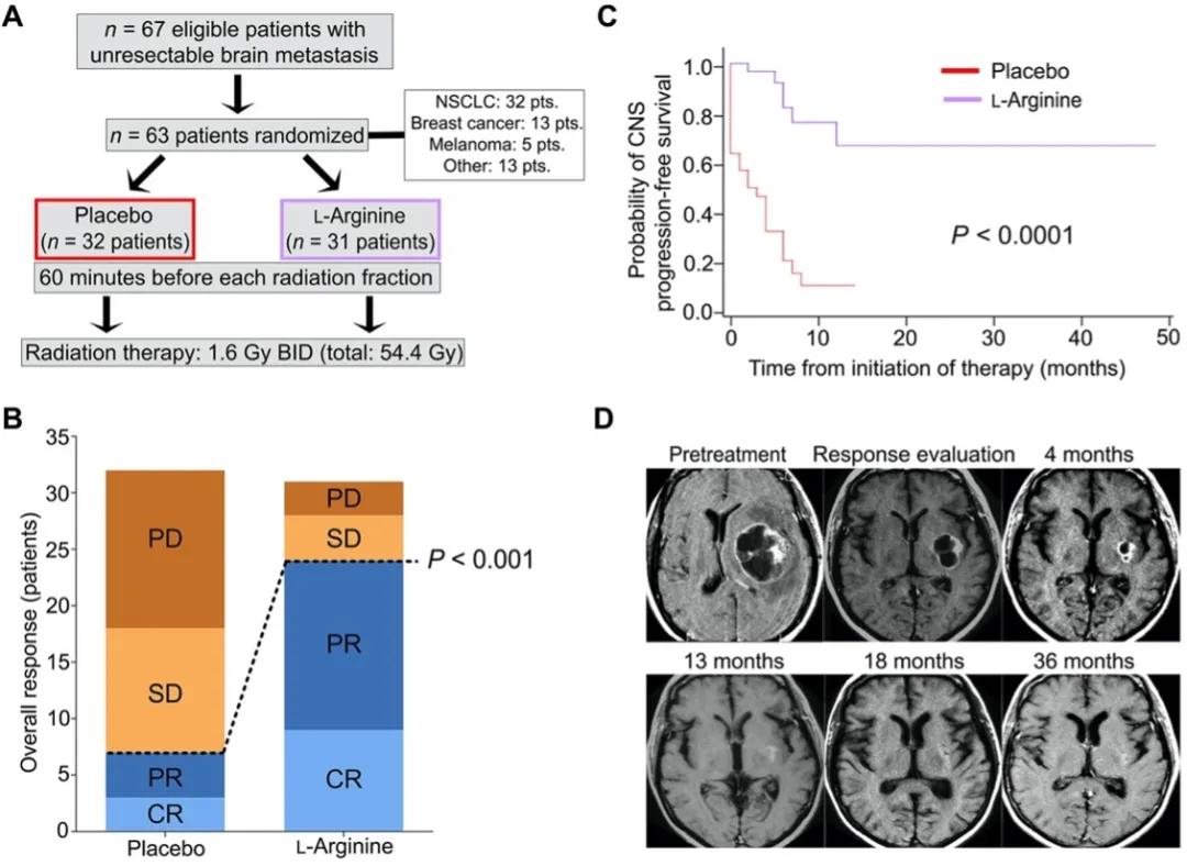 吃含精氨酸的食物有哪些,精氨酸和癌症