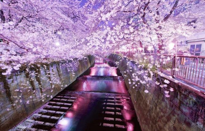 东京旅行性价比最高的酒店,东京旅游性价比高的酒店