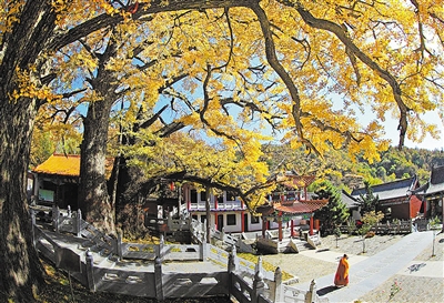 鲁山文殊寺,云雾缭绕人间仙境的寺庙大佛