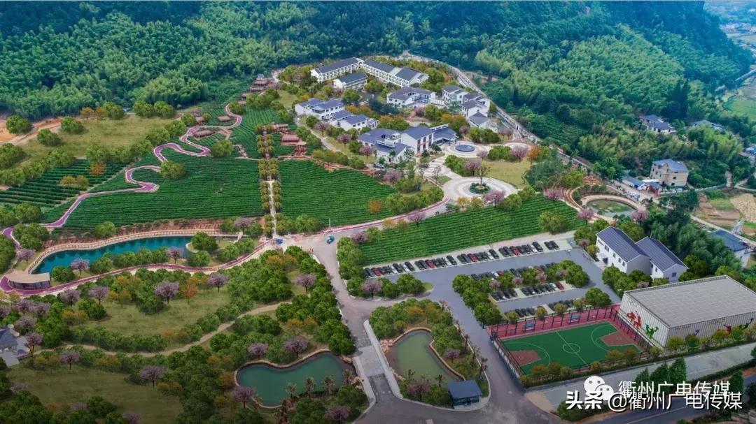 总投资60亿衢州,衢州总投资1400亿什么项目