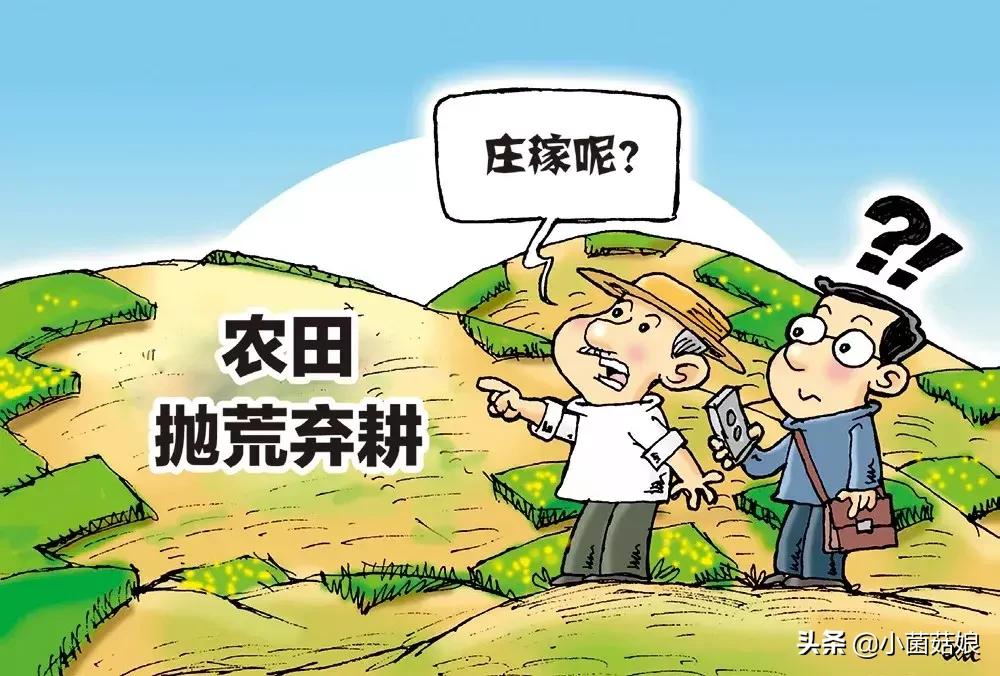 种粮大户种地有什么优惠政策,中央对种粮大户有什么政策