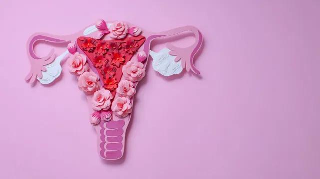 为什么阴道炎反反复复,总是治不好?