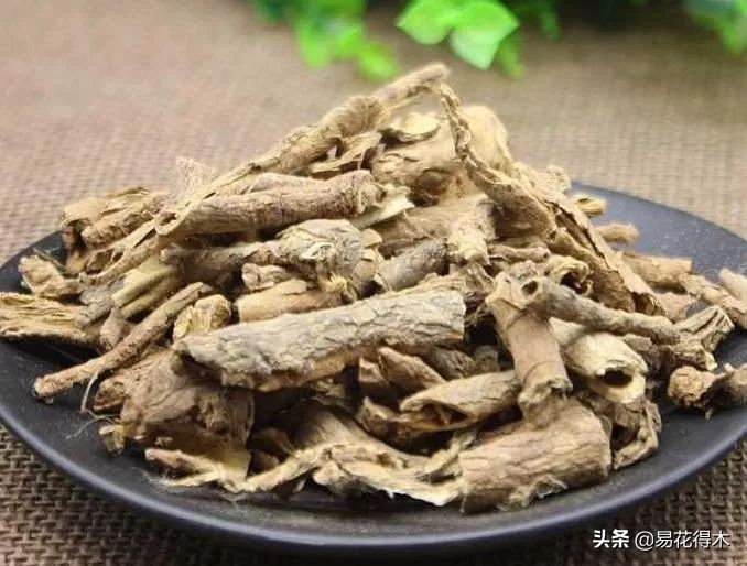 刺五加和五加皮的区别图片对比,刺五加是种什么药材