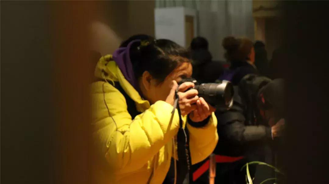 美美美！海淀这个地儿，万株兰花惊艳来袭，你招架的住吗？