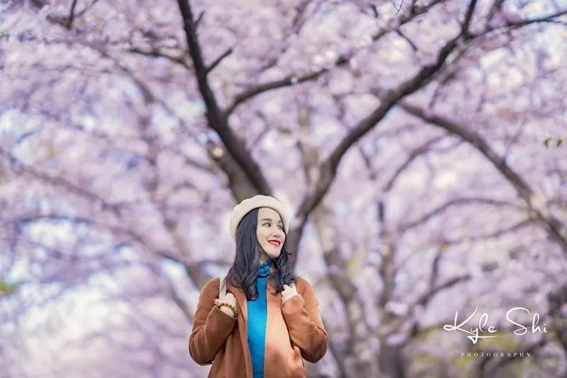 樱花季去京都怎么避免人太多,樱花季去日本旅行