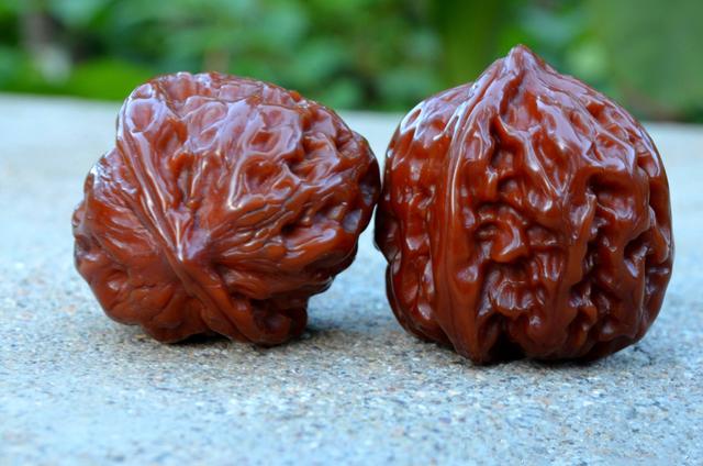 玩核桃必须玩哪一个,玩核桃优先看什么