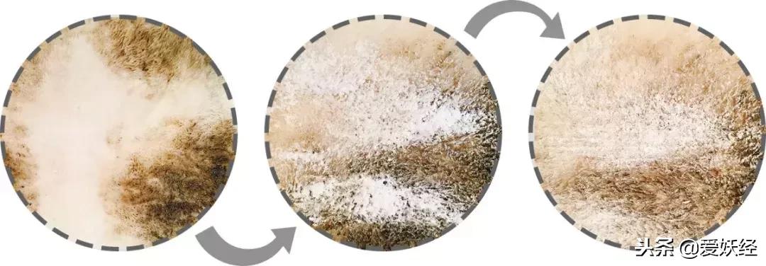 摔桌子测评,送客户奖励礼品排行榜前十名