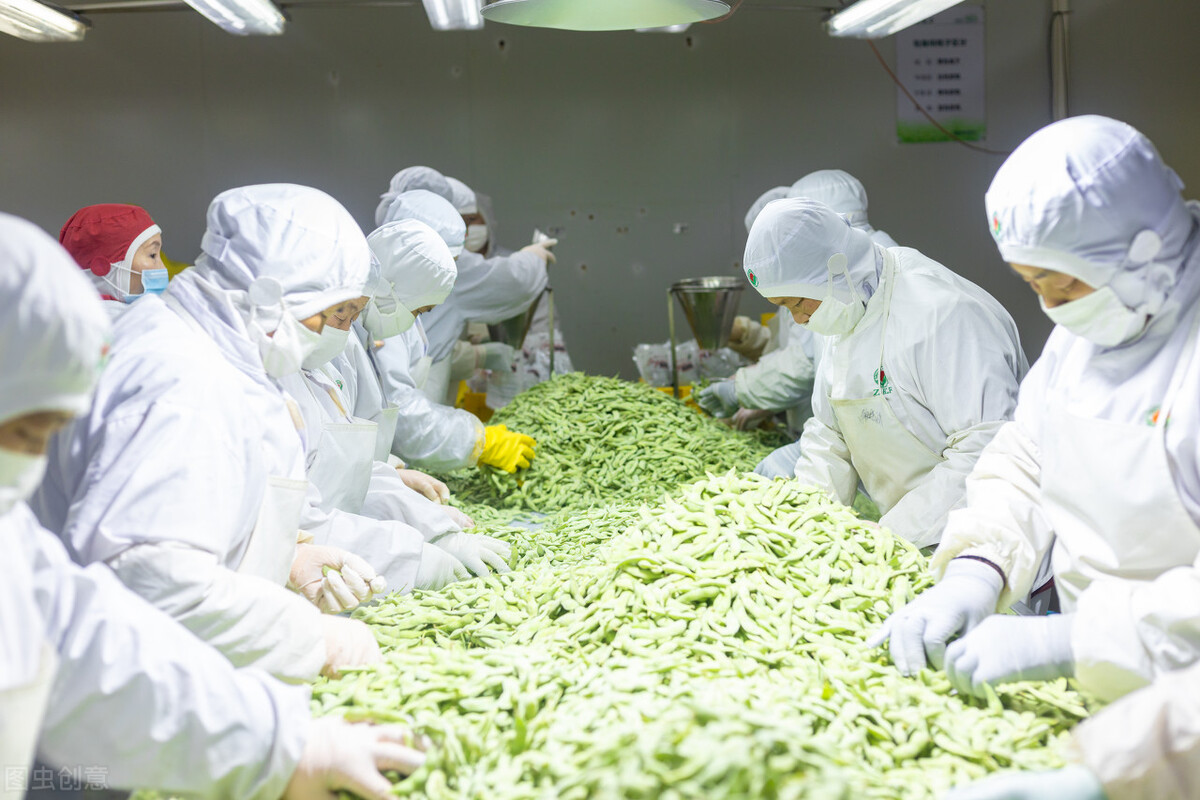 预制菜和料理包哪个发展潜力好,预制菜和料理包市场的发展前景