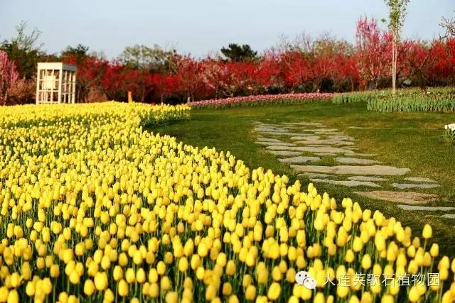 拍照圣地网红打卡大连,大连网红打卡地景点拍照