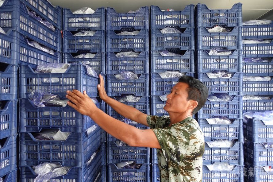 百乡千村调研活动,百县千镇万村高质量发展调研表