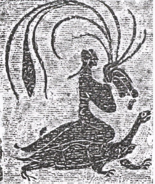 记录神兽的成长历程,9年神兽的成长历程