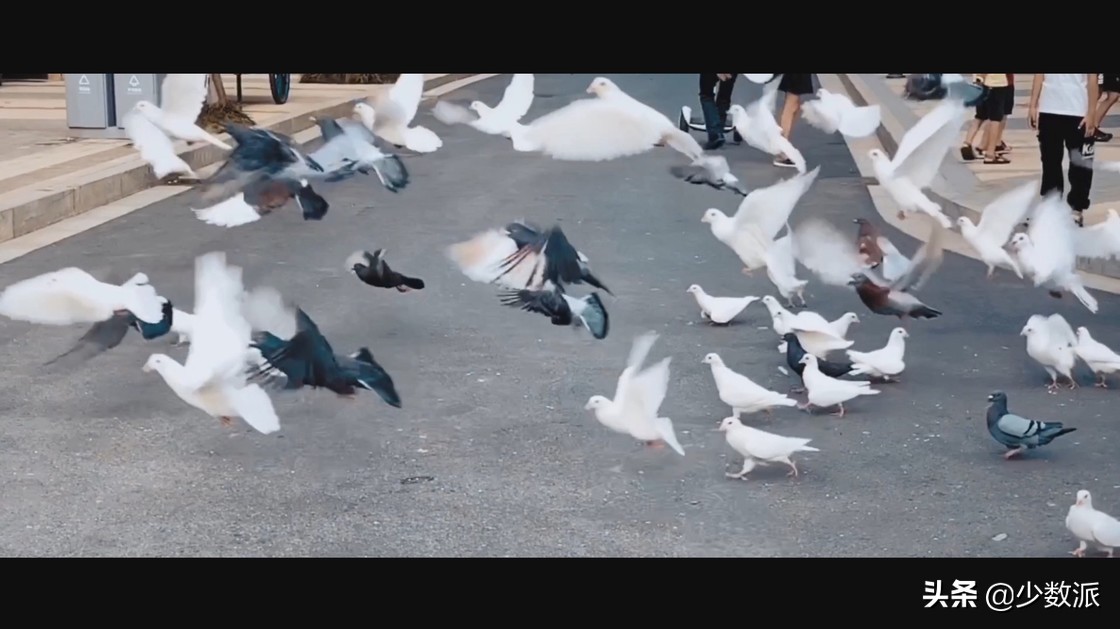 iPad是「无用的玩具」?用了一年,它为我打开了另一个世界