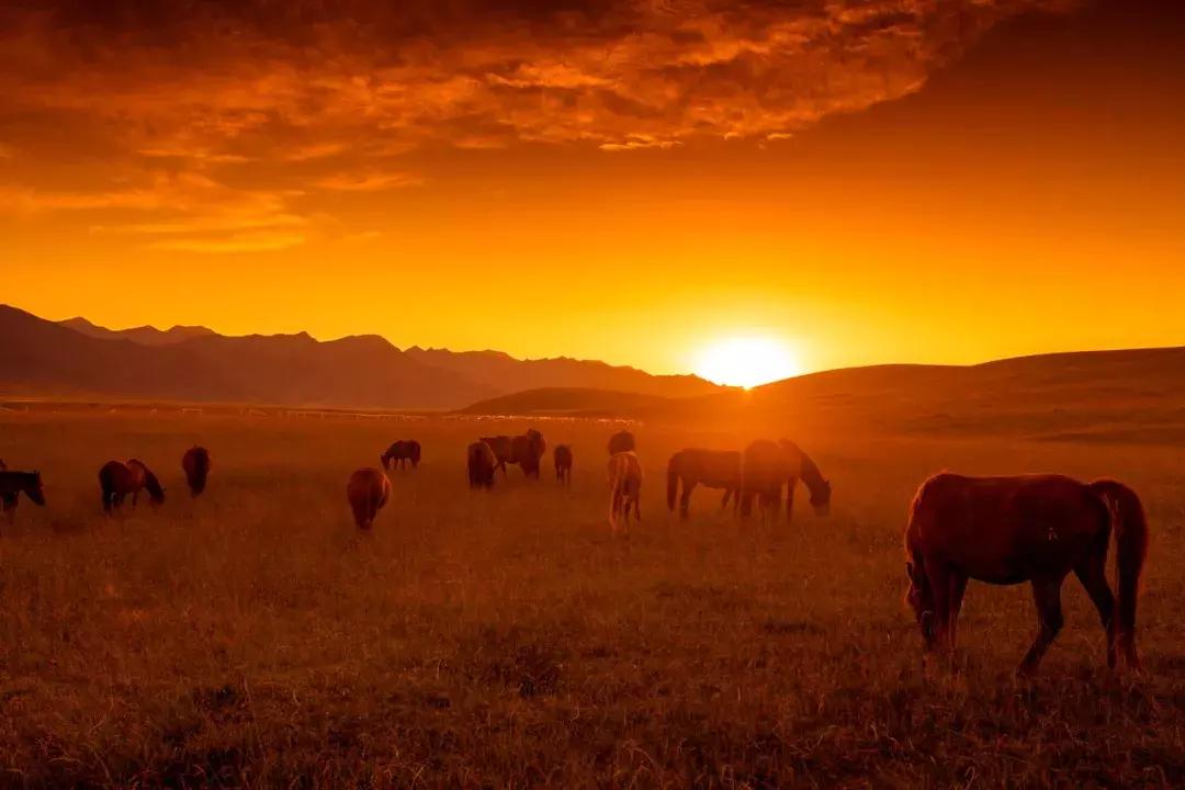 张掖啥意思,张掖古代叫什么