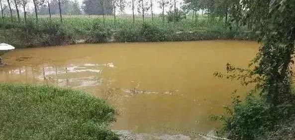 塘中的铁锈水是怎么回事,铁锈水的解决方法