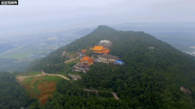 爱上福建的理由,爱上顺德的n个理由