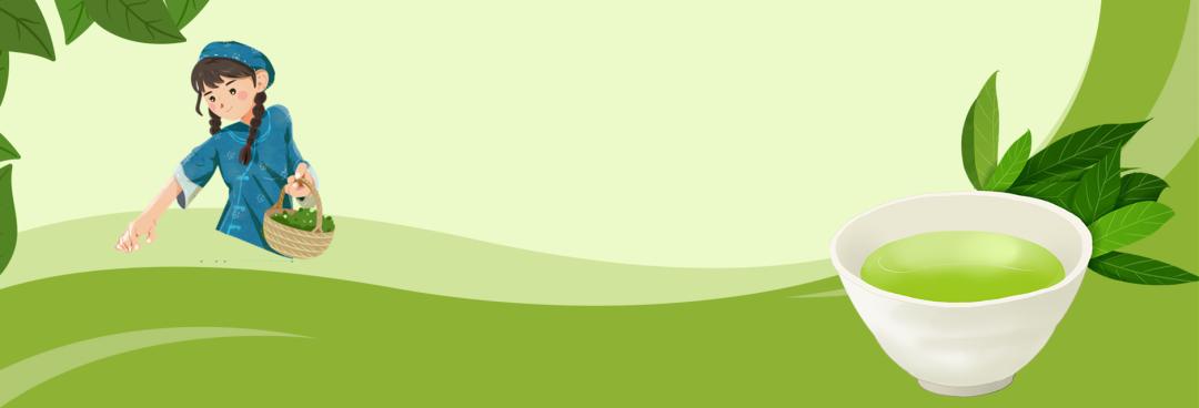 毛峰茶鹤峰茶,鹤峰茶明前茶