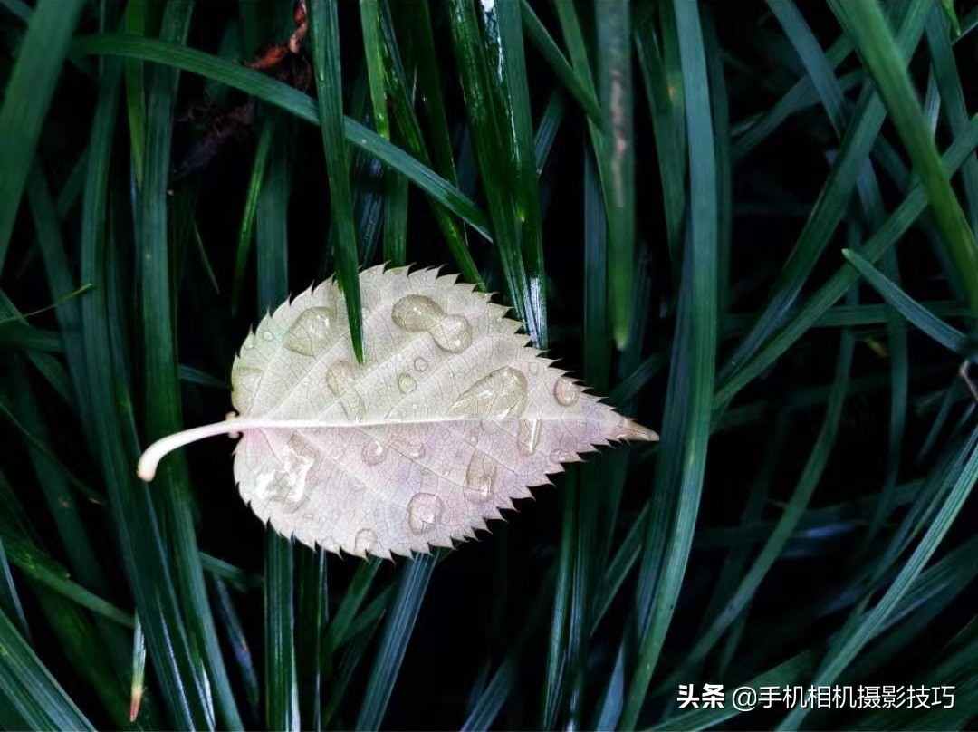 你的照片好不好看,照片拍得好与不好的区别