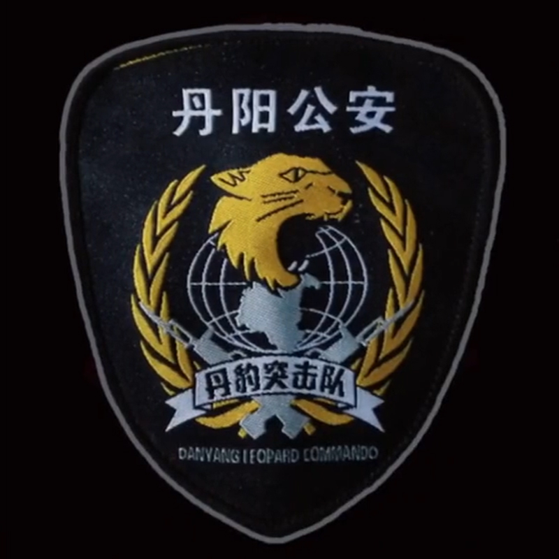 全国各个城市特警队臂章,公安特警帅图