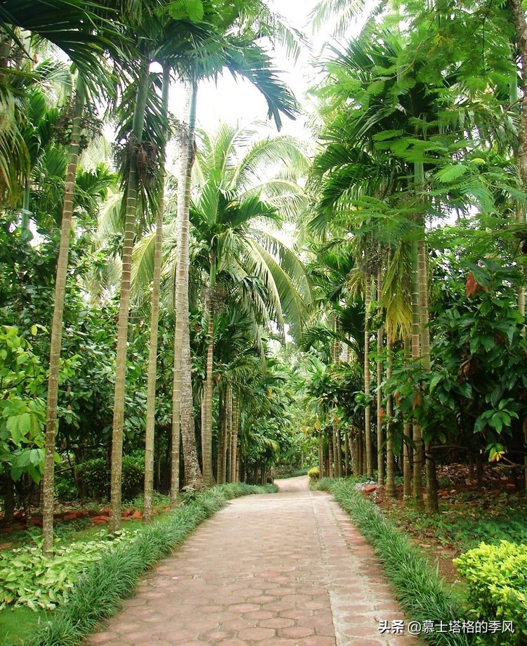 海南冬天好玩的城市,海南还有比三亚更美的小城吗