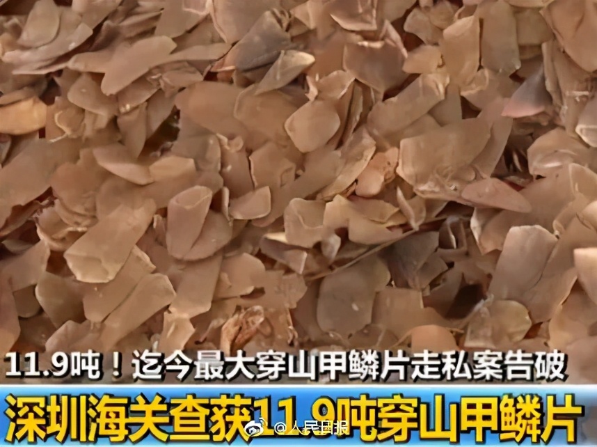 野生动物犯罪数额,收受野生动物量刑标准