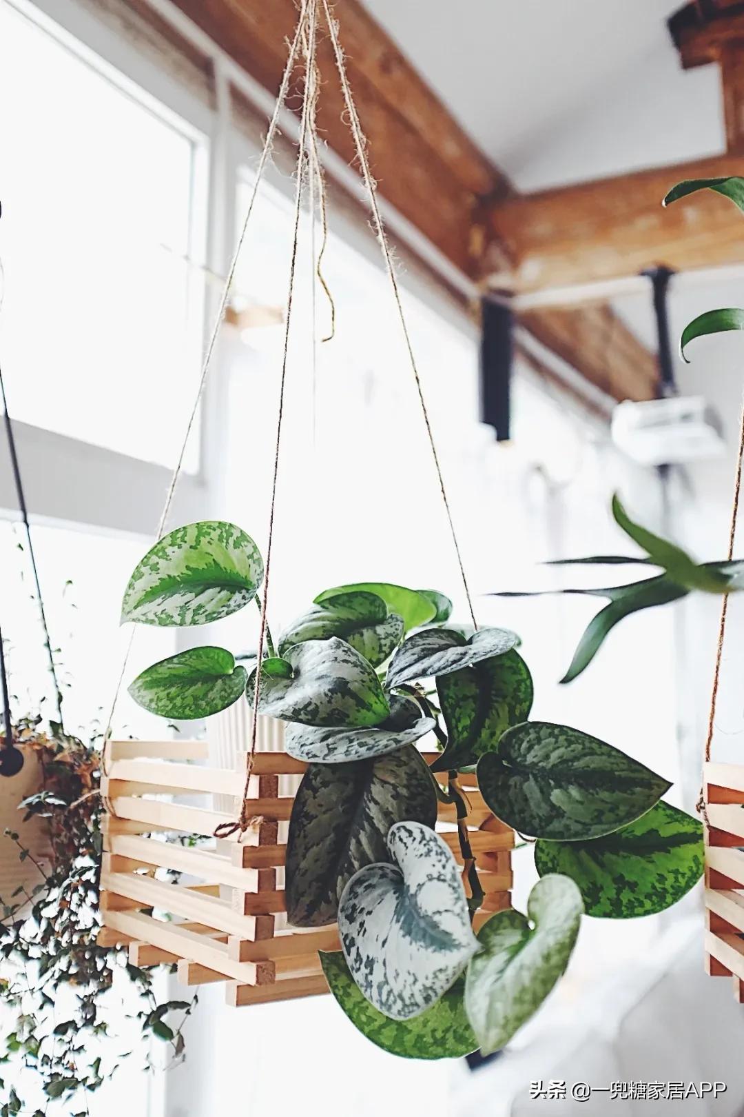 搴熸枡鍙互鍙樺簾涓哄疂,搴熸枡鑳藉仛鍑烘潵濂戒笢瑗垮悧