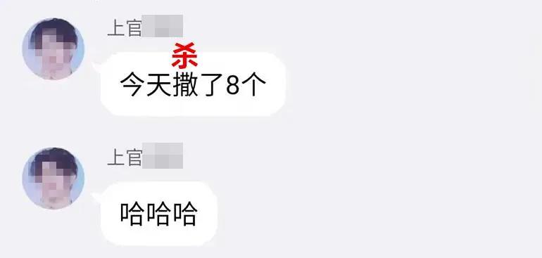 大学生杀死流浪猫,大学生杀流浪猫