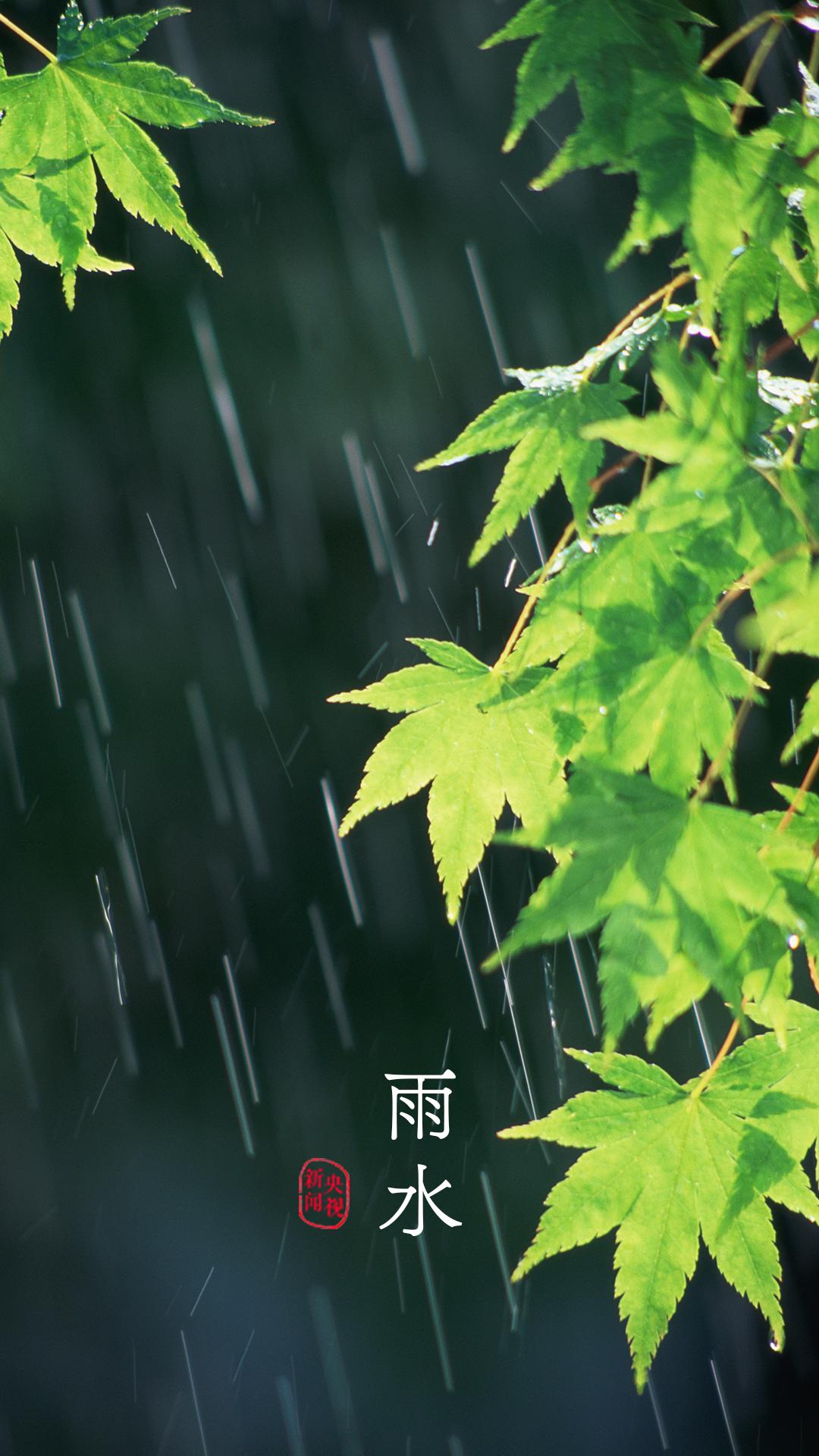 央视珍藏二十四节气手机壁纸,二十四节气壁纸手机超清全面屏