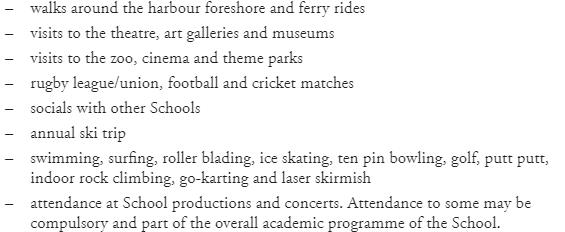 克兰布鲁克学院,布鲁可学院