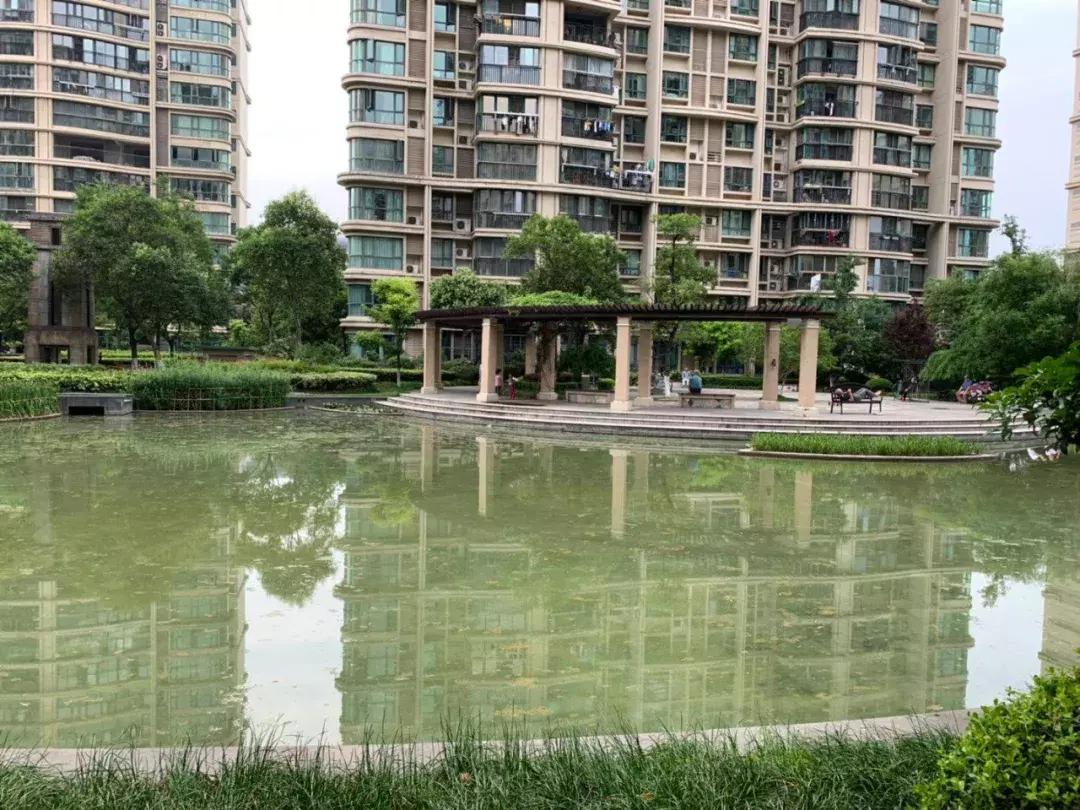 我叫雅居乐花园，我只想做个安安静静的*男美**子