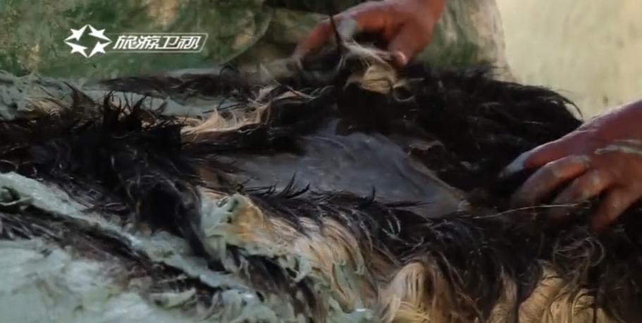 摩洛哥传承千年的古老制皮法,摩洛哥古法制皮