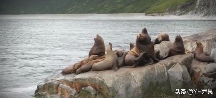 1998年美国海岸大批生物突发异样，专家共同侦查，真凶竟是天气