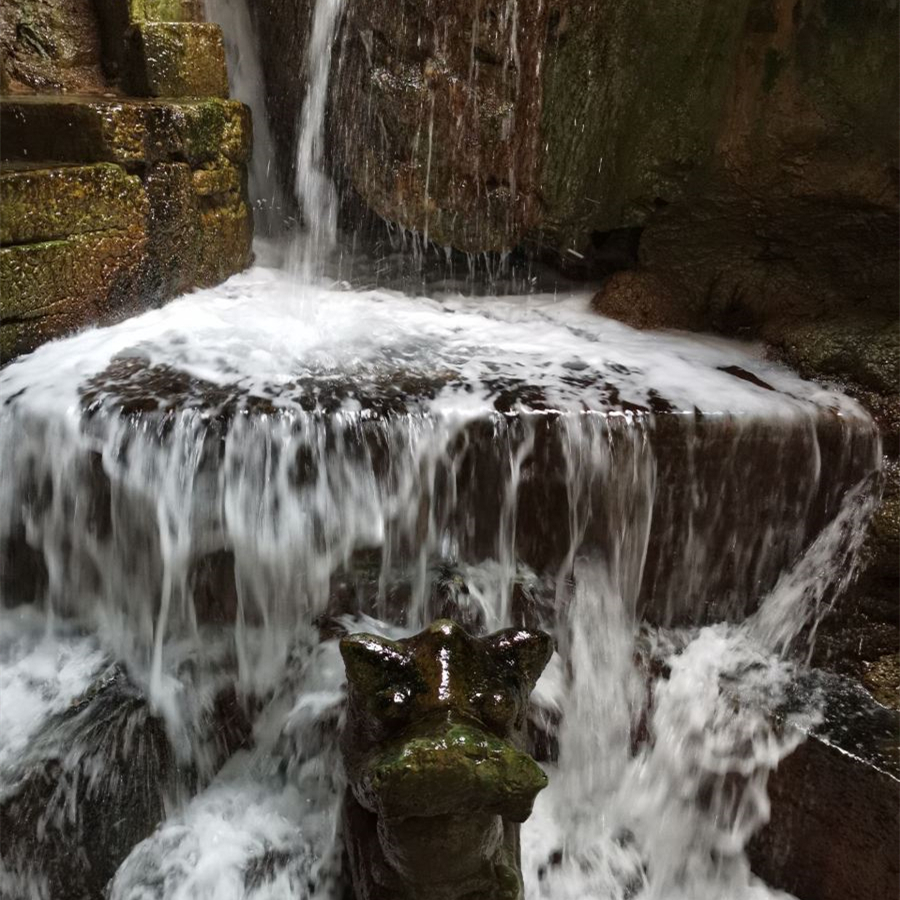 内河鱼泉之谜完整版免费,鱼泉之谜全集解说完整版