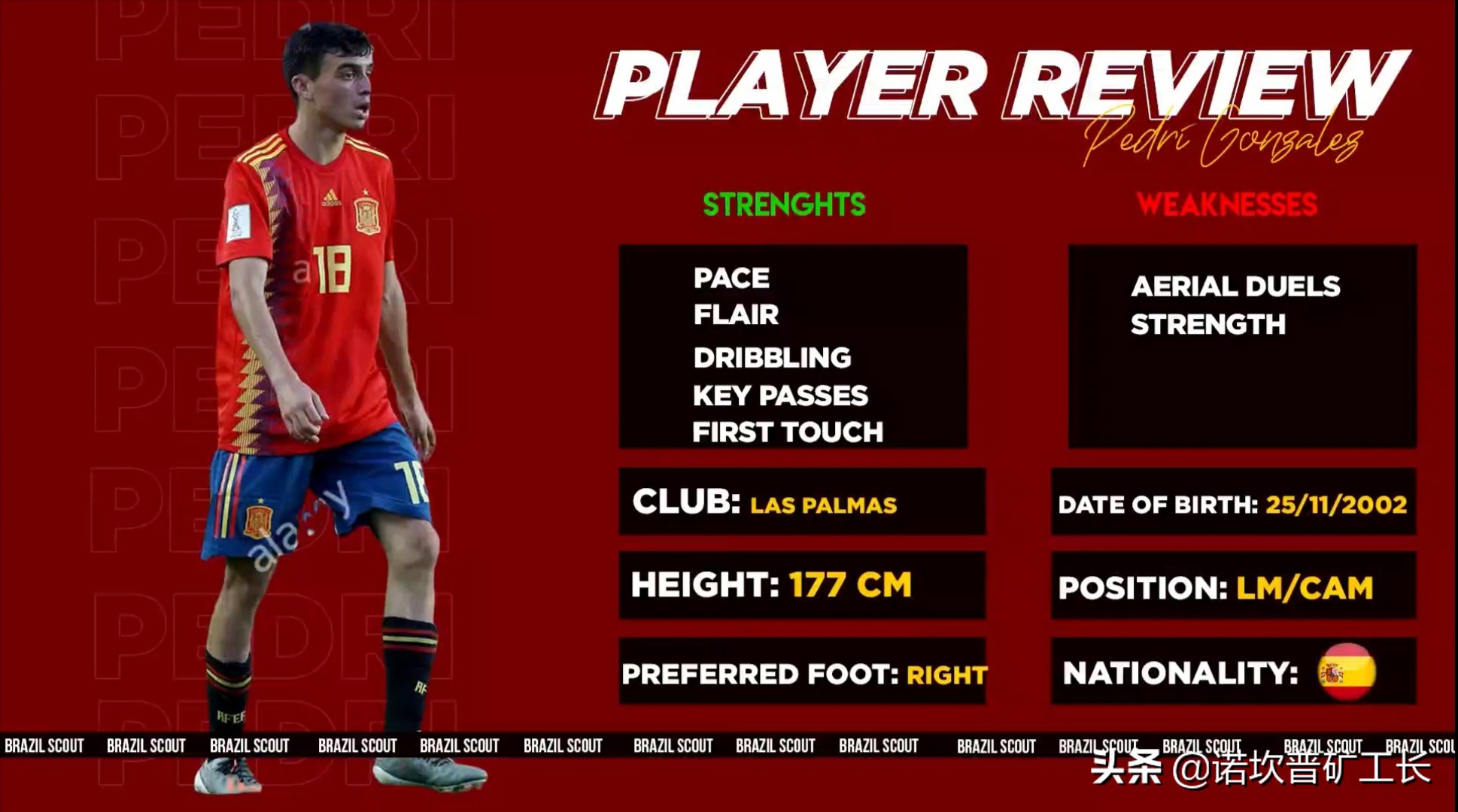 伊涅斯塔寄语佩德里,佩德里分析