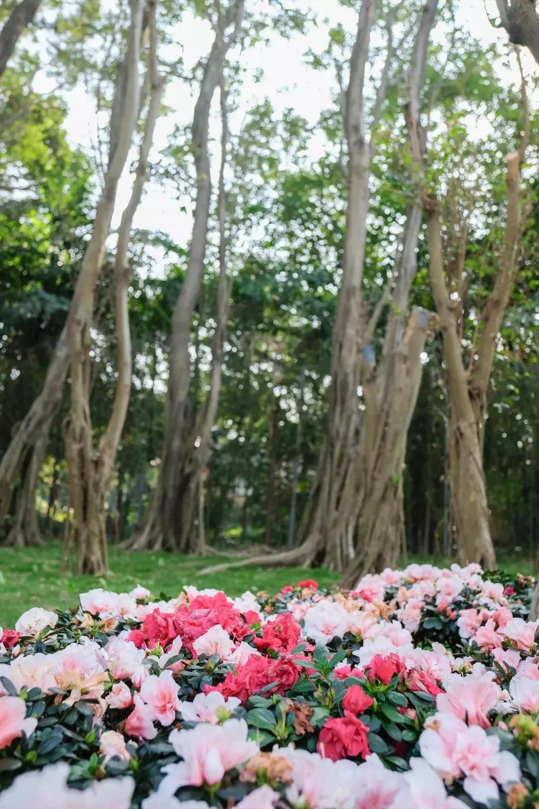 如今的世界之窗,介绍世界之窗