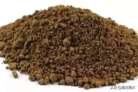 野山楂下山桩用什么土壤好,下山桩保湿成活技术