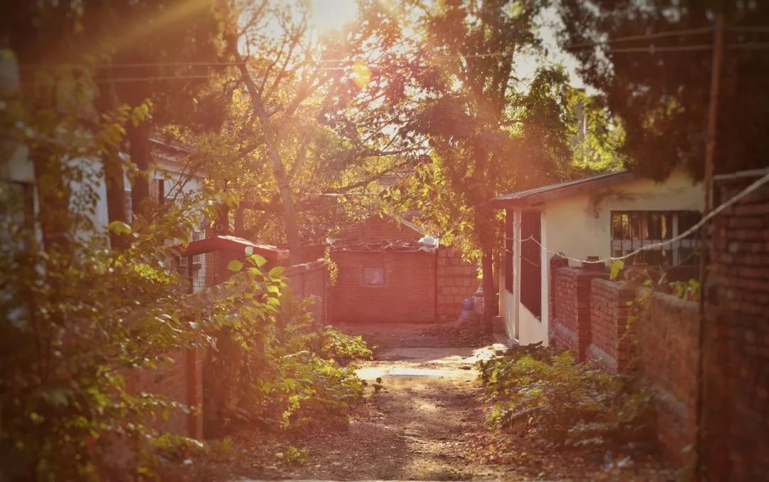 想去大连了,还有人想去大连吗