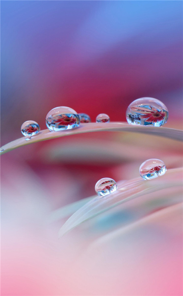 缓解眼睛疲劳动态图壁纸,好看的手机壁纸护眼高清图文