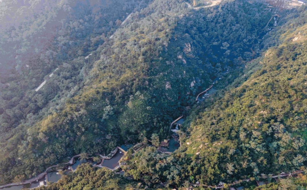 济南又添新避暑地!这处藏着雨林瀑布的“绿野仙踪”带你一秒穿越热带国度!