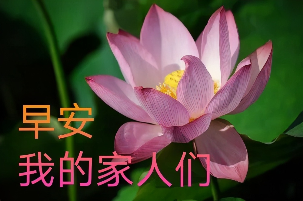 从荆州关公到贵州女神：中国建筑为啥越建越大、越建越土？