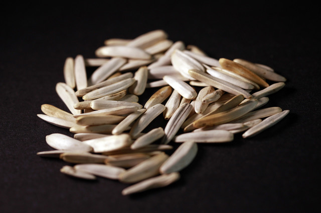 宜家家居来扬州,宜家家居入驻