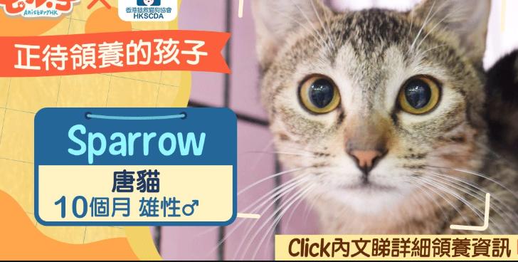 在日本的十大奇葩现象,日本人不曾在意的细节