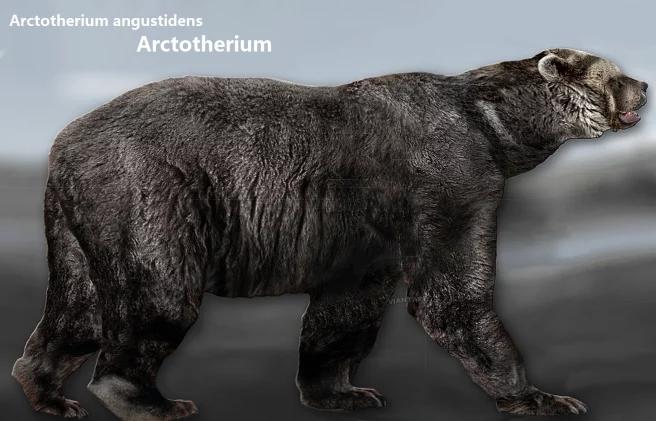 地球最大动物蓝鲸两百吨体重,地球最大的动物是什么动物